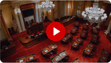 Video preview placeholder